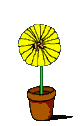 vase a fleurs 29