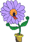 Gifs Animés vase a fleurs 34