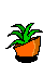 vase a fleurs 5
