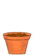 vase a fleurs 51