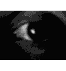 EMOTICON yeux 132