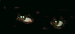 EMOTICON yeux 53