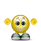 Smiley 3d 220