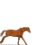 Smiley animaux 1316