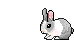 Smiley animaux 778