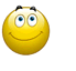 EMOTICON emotion 224