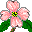 EMOTICON fleurs 123