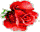 EMOTICON fleurs 170