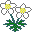 EMOTICON fleurs 280