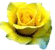 EMOTICON fleurs 517