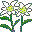 EMOTICON fleurs 583