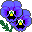 Smiley fleurs 63