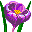 EMOTICON fleurs 78