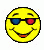 EMOTICON lunette-de-soleil 216