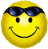 EMOTICON lunette-de-soleil 301