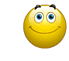 Smiley sports 1166