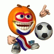 EMOTICON sports 1231